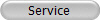 Service
